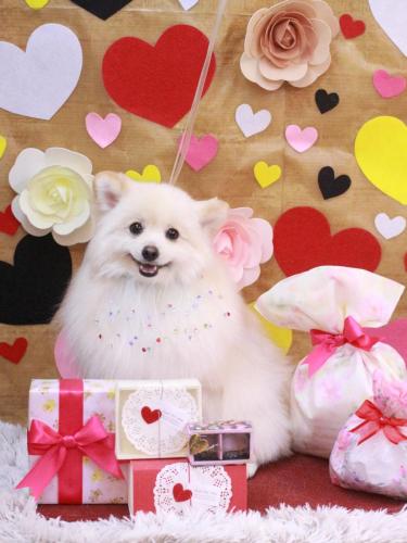 20230219モチくん